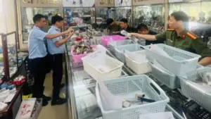 Chủ cửa hàng bị phát hiện bày bán hơn 2.000 đồng hồ giả mạo 10 thương hiệu nổi tiếng.
