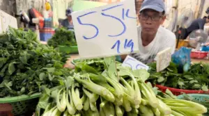 Giá rau củ tại TPHCM tăng mạnh do thời tiết mưa lớn làm giảm nguồn cung, trong đó rau gia vị và rau ăn lá có loại đắt ngang 1kg thịt heo.