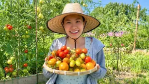 Khám phá khu vườn rau quả xanh mướt, trĩu quả của người phụ nữ Việt tại Mỹ, mang đậm hương vị quê nhà và truyền cảm hứng làm vườn.