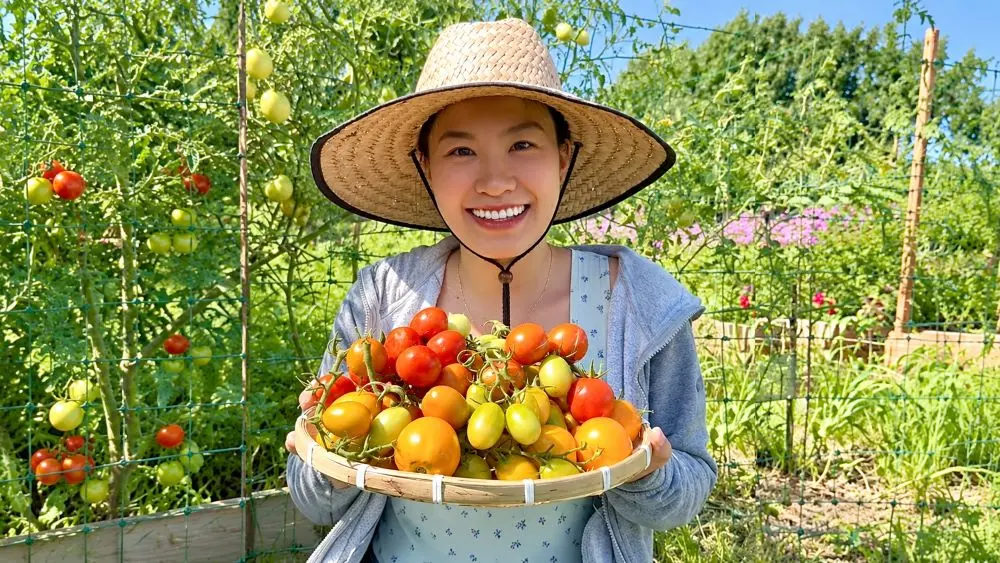 Khám phá khu vườn rau quả xanh mướt, trĩu quả của người phụ nữ Việt tại Mỹ, mang đậm hương vị quê nhà và truyền cảm hứng làm vườn.