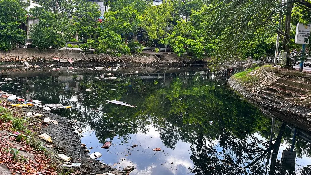 Mương Hồ Sen ở Hải Phòng ô nhiễm nghiêm trọng với nước đen, rác thải và lá rụng tích tụ, ảnh hưởng đến đời sống người dân.