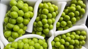 Trái cây Trung Quốc siêu rẻ: nho sữa chỉ 22.000 đồng/kg, táo mật 11.000 đồng/kg. Khám phá giá cực hấp dẫn ngay hôm nay!