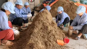 Sản phẩm OCOP vùng cao Thái Nguyên mở ra cơ hội phát triển kinh tế, tạo việc làm và nâng cao thu nhập cho người dân địa phương.