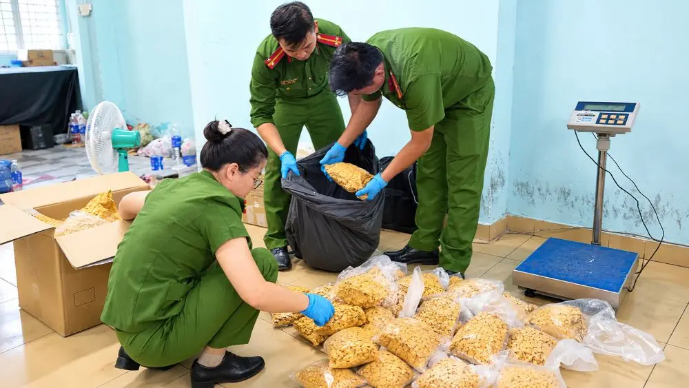 Vụ kiểm tra quán bar tại TP.HCM hé lộ đường dây tội phạm liên tỉnh. Tìm hiểu diễn biến điều tra và tang vật bị thu giữ.