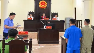 Hai đối tượng tại Hải Phòng lĩnh án tù vì tàng trữ, tổ chức sử dụng trái phép ma túy tại nhà.